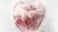 Cannibal Image 2