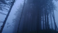 Bigfoot: The Lost Coast Tapes Image 4