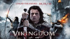 Vikingdom Image 2