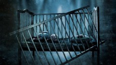The Occupants Image 2