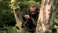 Borgman Image 1