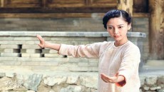Tai Chi Zero Image 3
