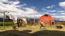 The Young and Prodigious T.S. Spivet Image 1