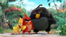 The Angry Birds Movie Image 1