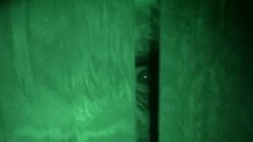 Exists Image 2