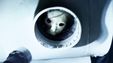 Banshee Chapter Image 1