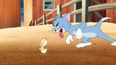 Tom and Jerry & The Wizard of Oz Image 1