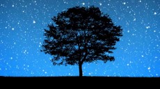 Unity Image 3