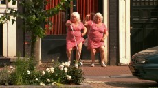 Meet the Fokkens Image 1
