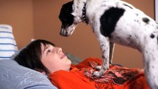 Vampire Dog Image 2