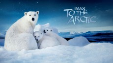 To the Arctic 3D Image 2