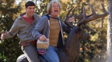 Dumb and Dumber To Image 2