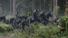 Dawn of the Planet of the Apes Image 2