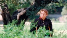 Renoir Image 2