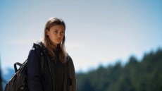 Wildlike Image 4