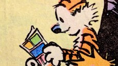 Dear Mr. Watterson Image 2