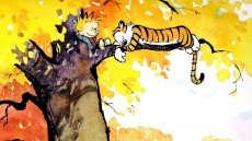 Dear Mr. Watterson Image 1
