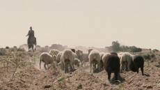 Sweetwater Image 3