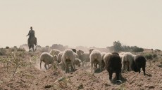 Sweetwater Image 2
