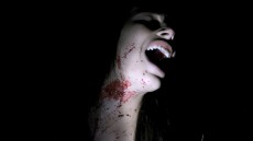 Nightlight Image 1