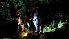 Nightlight Image 3