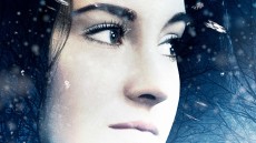 White Bird in a Blizzard Image 2