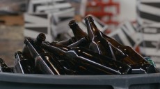 Drinking Buddies Image 3