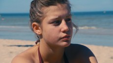 Blue Is the Warmest Color Image 2