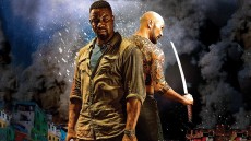 Falcon Rising Image 3