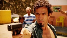 Falcon Rising Image 2