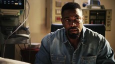 Falcon Rising Image 4