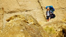 Wild Image 2