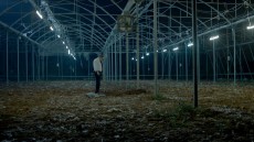 Big Bad Wolves Image 1