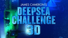 Deepsea Challenge 3D Image 3