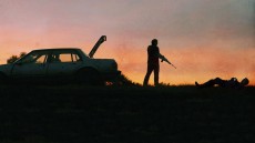 Blue Ruin Image 3