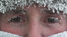 Antarctica: A Year on Ice Image 1