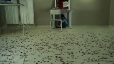 The Haunting of Helena Image 2