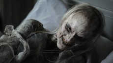 Haunt Image 2