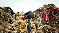 Trashed Image 1