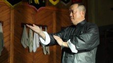 Ip Man: The Final Fight Image 3