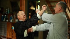 Ip Man: The Final Fight Image 4