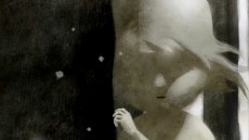 Feral Image 3