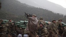 The Hornet's Nest Image 2