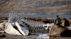 Leviathan Image 1