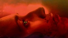 When Animals Dream Image 1