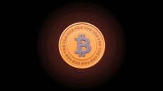 The Rise and Rise of Bitcoin Image 2