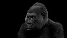 Visitors Image 1