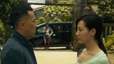 Kung Fu Jungle Image 3