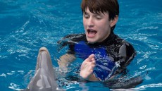 Dolphin Tale 2 Image 1