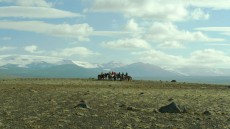 Of Horses and Men Image 1